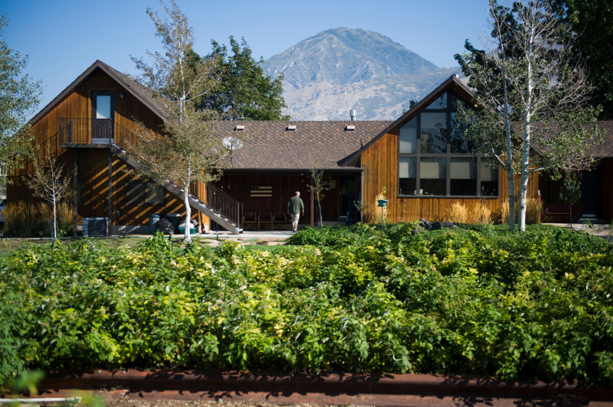 Locals show off skills at Mapleton Parade of Gardens News, Sports